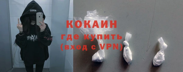 прущие грибы Бородино
