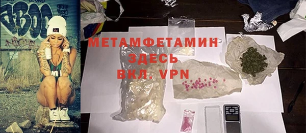 прущие грибы Бородино